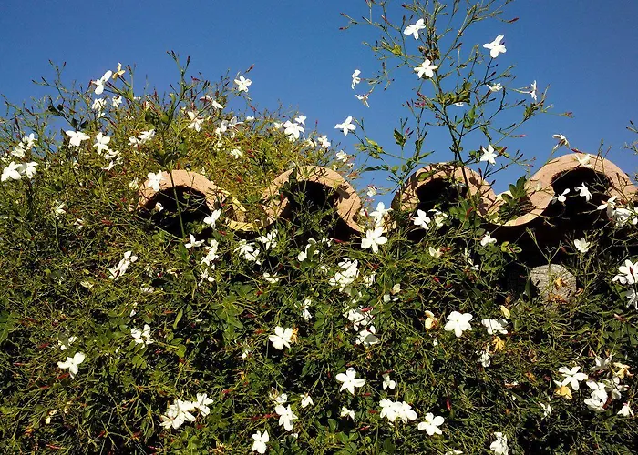 Üdülőpark Lageado Park Albufeira
