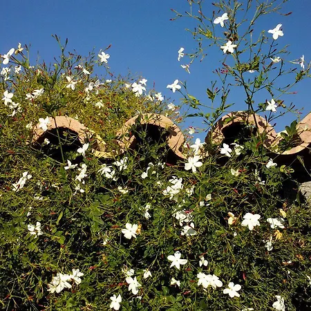 Ferienpark Lageado Park Albufeira